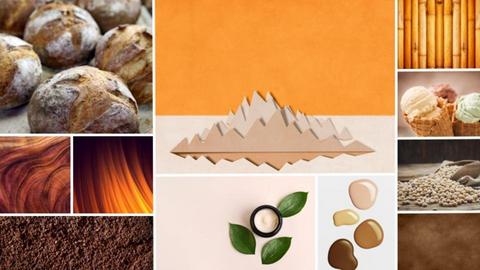 _Soybean the Moodboard  - by _cp